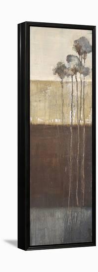 Palisade Palms I-Terri Burris-Framed Stretched Canvas