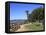 Palisades Park, Santa Monica, Los Angeles, California, Usa-Wendy Connett-Framed Premier Image Canvas