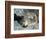 Pallas's Cat, Manul (Otocolobus Manul or Felis Manul)-Andres Morya Hinojosa-Framed Photographic Print