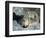 Pallas's Cat, Manul (Otocolobus Manul or Felis Manul)-Andres Morya Hinojosa-Framed Photographic Print