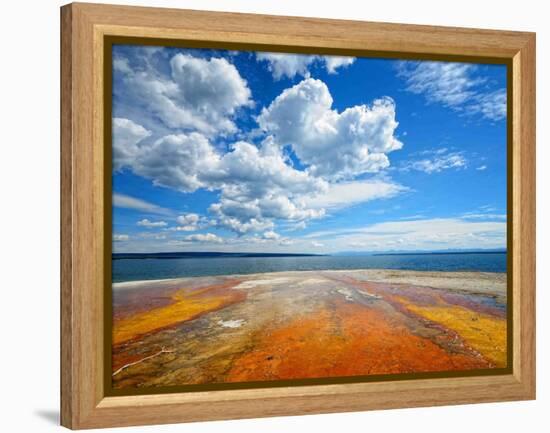 Pallets of Colors-Philippe Sainte-Laudy-Framed Premier Image Canvas