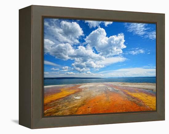 Pallets of Colors-Philippe Sainte-Laudy-Framed Premier Image Canvas