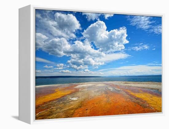 Pallets of Colors-Philippe Sainte-Laudy-Framed Premier Image Canvas