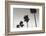 Palm_004-1x Studio III-Framed Photographic Print