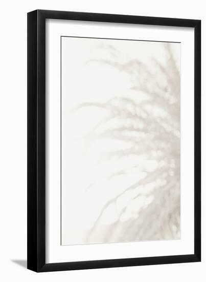 Palm_008-Pictufy Studio III-Framed Giclee Print