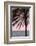 Palm_010-1x Studio III-Framed Photographic Print