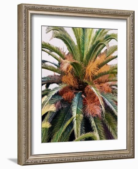 Palm 1, 2024-Alex Hanson-Framed Art Print