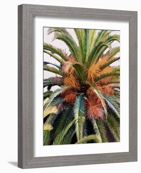 Palm 1, 2024-Alex Hanson-Framed Art Print