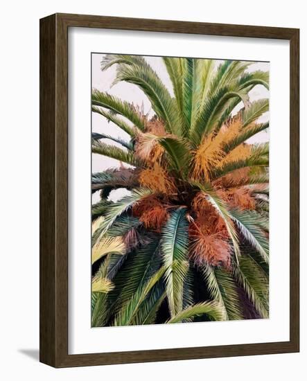 Palm 1, 2024-Alex Hanson-Framed Art Print