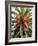 Palm 1, 2024-Alex Hanson-Framed Art Print