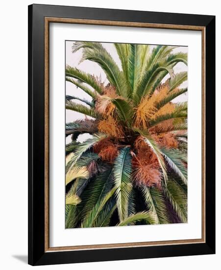 Palm 1, 2024-Alex Hanson-Framed Art Print