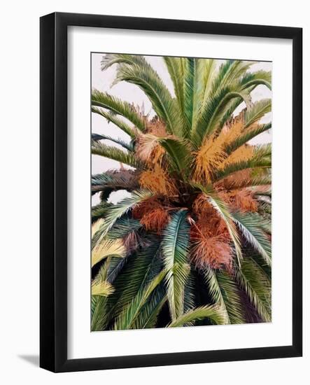 Palm 1, 2024-Alex Hanson-Framed Art Print