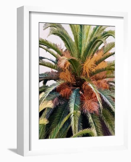 Palm 1, 2024-Alex Hanson-Framed Art Print