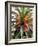 Palm 1, 2024-Alex Hanson-Framed Art Print