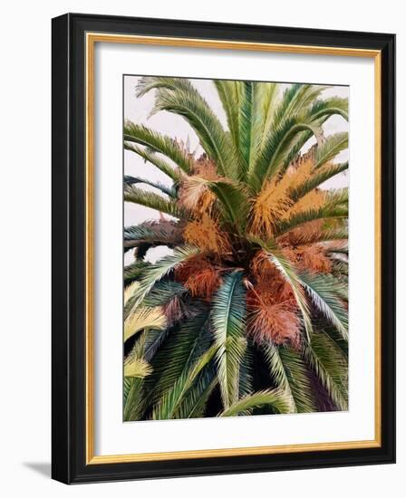 Palm 1, 2024-Alex Hanson-Framed Art Print