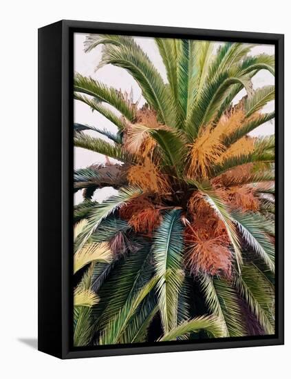 Palm 1, 2024-Alex Hanson-Framed Stretched Canvas