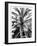 Palm 2, 2024-Alex Hanson-Framed Art Print