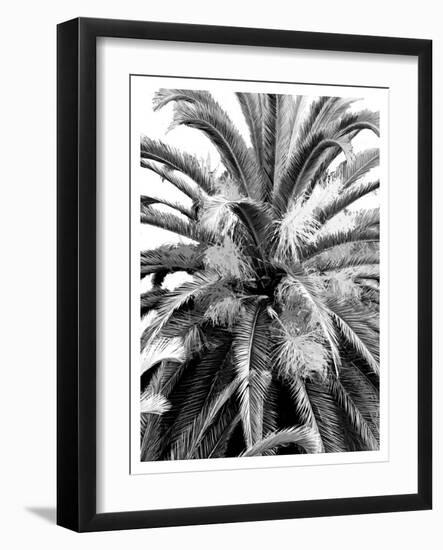 Palm 2, 2024-Alex Hanson-Framed Art Print