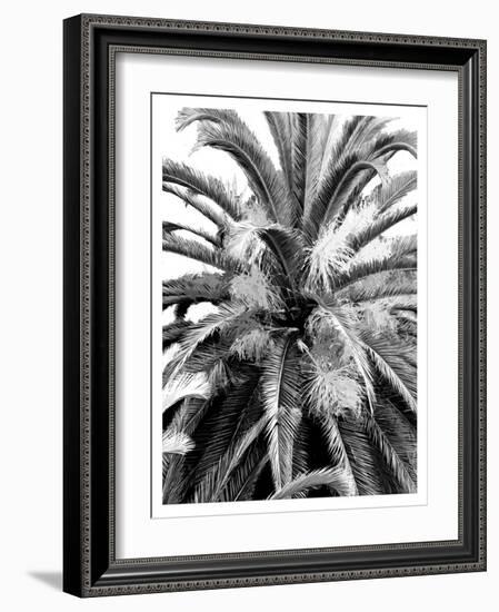 Palm 2, 2024-Alex Hanson-Framed Art Print