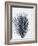 Palm 2 Grey-Pernille Folcarelli-Framed Art Print