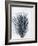 Palm 2 Grey-Pernille Folcarelli-Framed Art Print