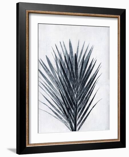 Palm 2 Grey-Pernille Folcarelli-Framed Art Print