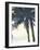 Palm 3-Megan Swartz-Framed Art Print