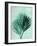 Palm 4 Green-Pernille Folcarelli-Framed Art Print