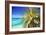 Palm And Beach-Alex Hanson-Framed Art Print