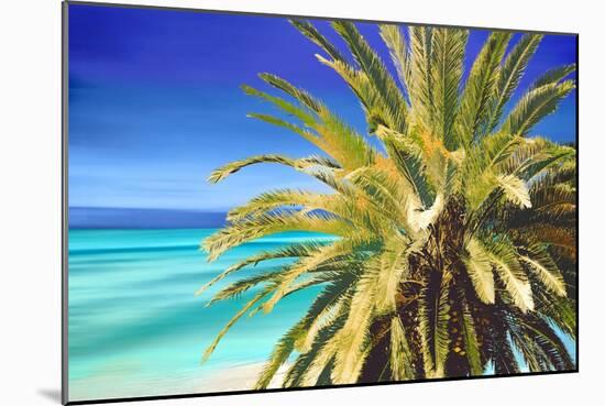 Palm And Beach-Alex Hanson-Mounted Art Print