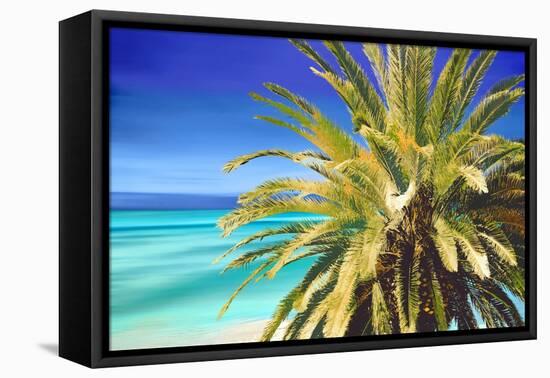Palm And Beach-Alex Hanson-Framed Stretched Canvas