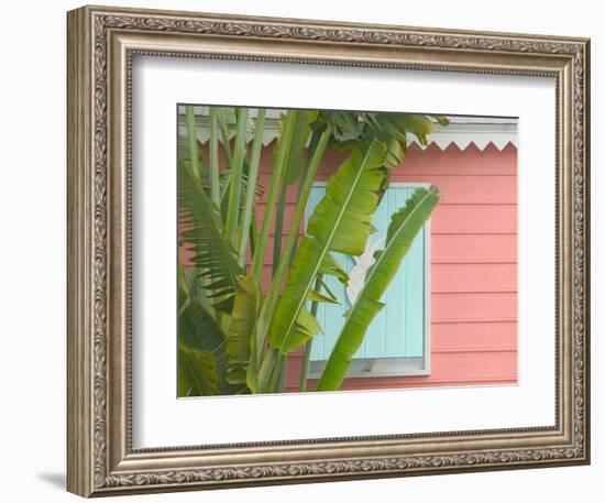 Palm and Pineapple Shutters Detail, Great Abaco Island, Bahamas-Walter Bibikow-Framed Photographic Print