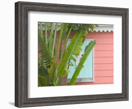 Palm and Pineapple Shutters Detail, Great Abaco Island, Bahamas-Walter Bibikow-Framed Photographic Print