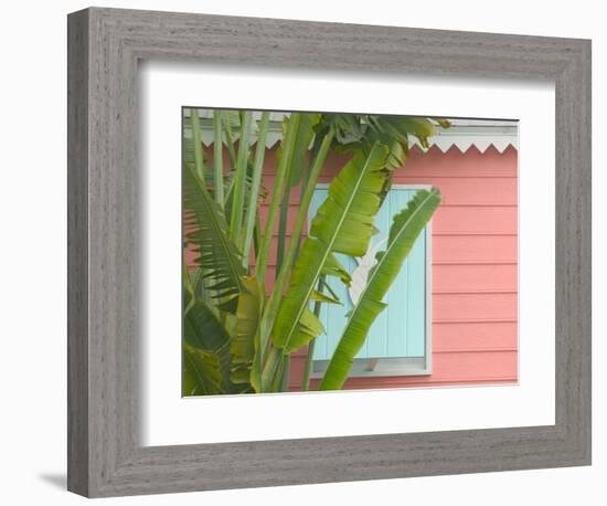 Palm and Pineapple Shutters Detail, Great Abaco Island, Bahamas-Walter Bibikow-Framed Photographic Print