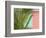 Palm and Pineapple Shutters Detail, Great Abaco Island, Bahamas-Walter Bibikow-Framed Photographic Print