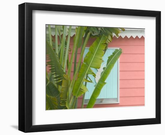 Palm and Pineapple Shutters Detail, Great Abaco Island, Bahamas-Walter Bibikow-Framed Photographic Print