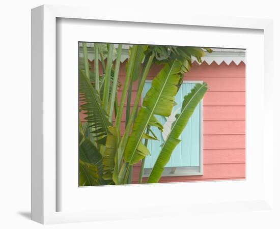 Palm and Pineapple Shutters Detail, Great Abaco Island, Bahamas-Walter Bibikow-Framed Photographic Print