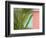 Palm and Pineapple Shutters Detail, Great Abaco Island, Bahamas-Walter Bibikow-Framed Photographic Print