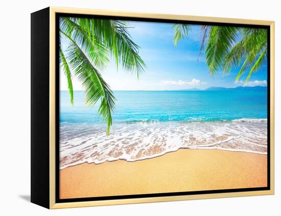 Palm and Tropical Beach-Aleksandr Ozerov-Framed Premier Image Canvas