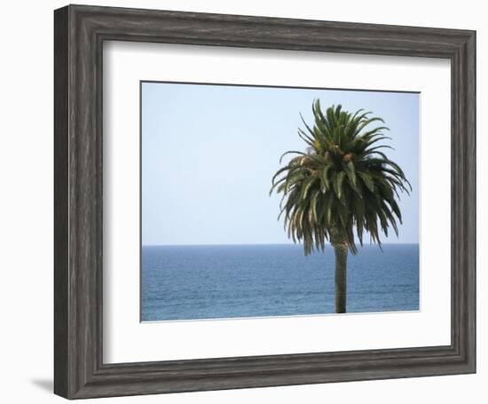 Palm at Moonlight Beach-Jenny Kraft-Framed Art Print