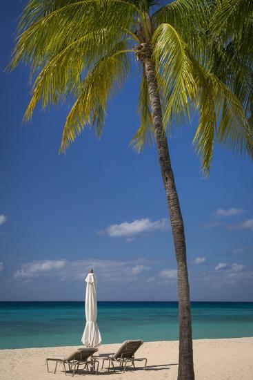 palm at seven mile beach grand cayman cayman islands west indies