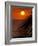 Palm at Sunset, Costa Rica-Michele Westmorland-Framed Photographic Print