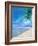 Palm Beach and Shell-Ken Roko-Framed Art Print