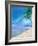 Palm Beach and Shell-Ken Roko-Framed Art Print