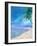 Palm Beach and Shell-Ken Roko-Framed Art Print