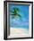 Palm Beach and Starfish-Ken Roko-Framed Art Print