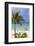 Palm Beach, Aruba, Netherlands Antilles, Caribbean, Central America-Jane Sweeney-Framed Photographic Print