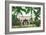 Palm Beach, Florida - Flagler House, Whitehall Exterior View-Lantern Press-Framed Art Print