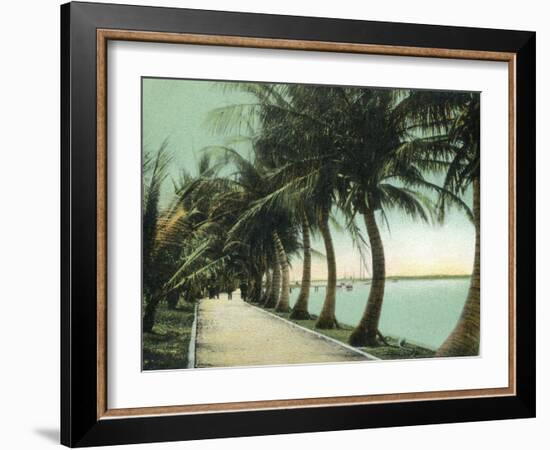 Palm Beach, Florida - Palm Walk Along Lake Worth-Lantern Press-Framed Art Print