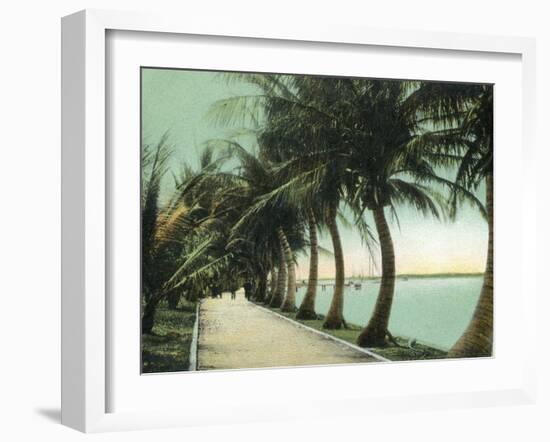 Palm Beach, Florida - Palm Walk Along Lake Worth-Lantern Press-Framed Art Print